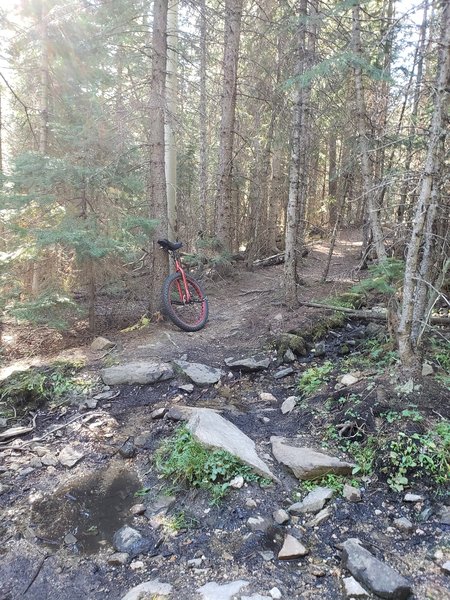 Steep sections but not technical.  A great workout on a unicycle.