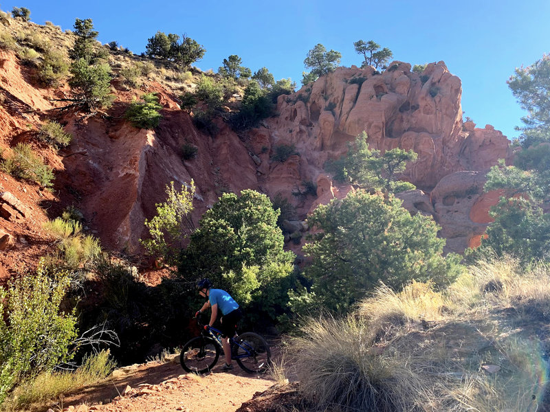 The incredible scenery of the Thor's Hideout trail.