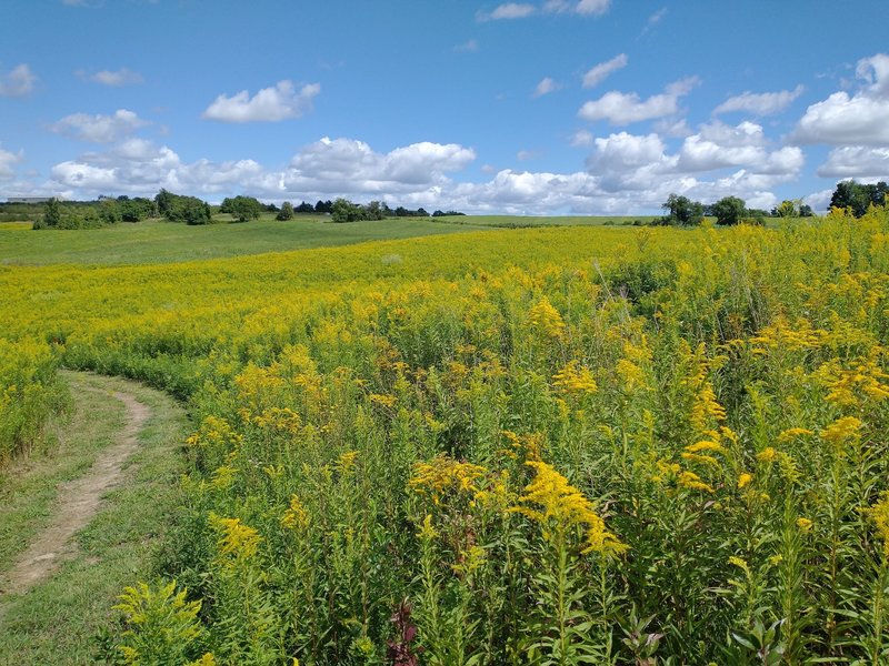 North of Bougton reservoir, South of Apple Farm