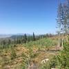 Views of Flat Tops Range in the White River National Forest, about 20 miles away.