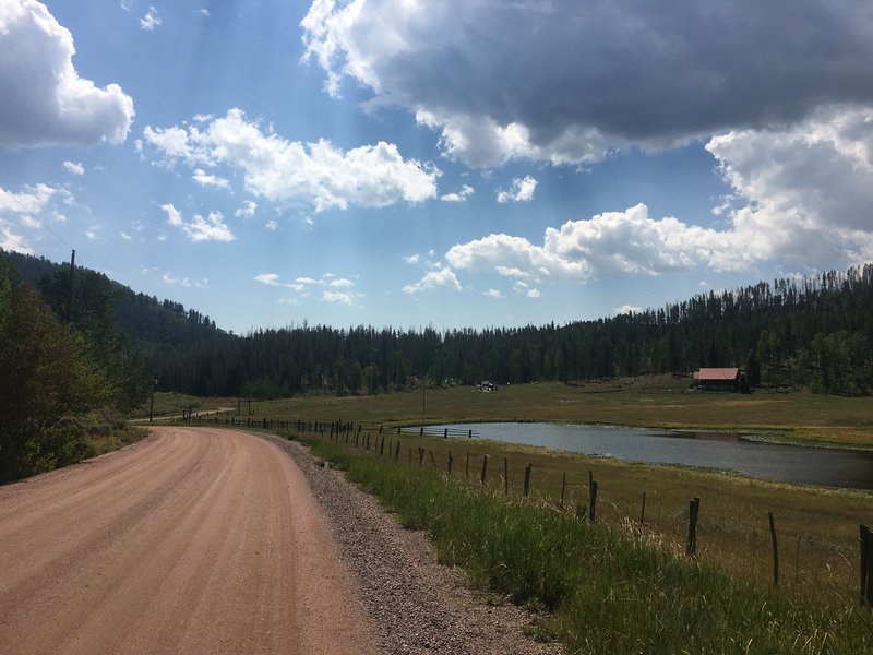 The ride back to Gore Pass Bike Trailhead, along FSR270.