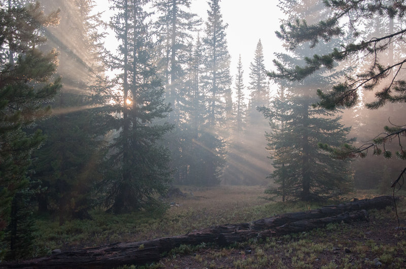 Sunrise near Rock Creek singletrack.