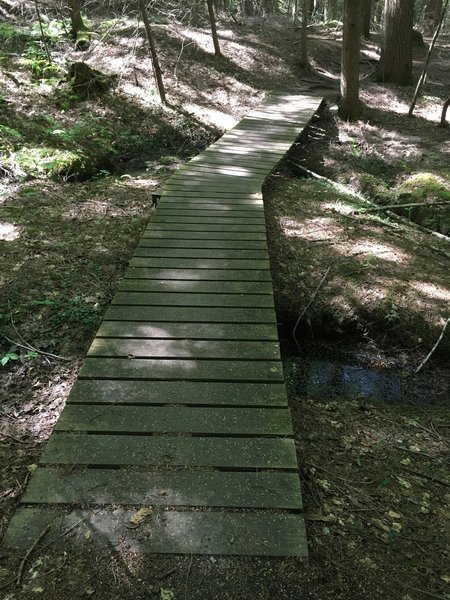 Bridge along the Purple Loop, between some of the green shortcuts.