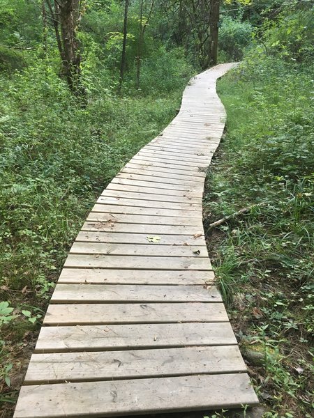 Jonathan Hills Eagle Scout Project Bridge