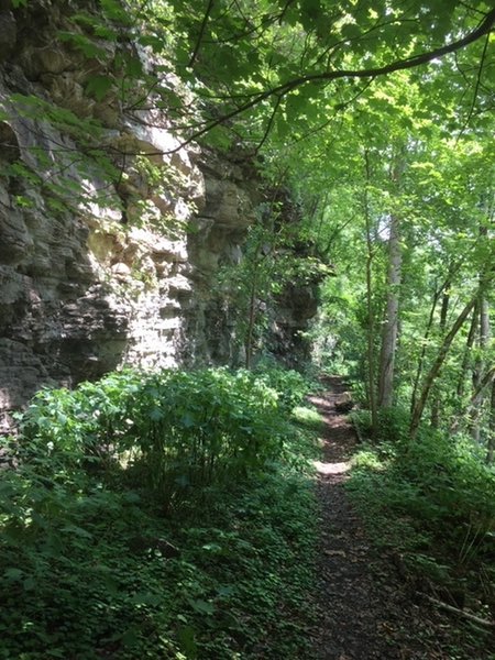 Trail narrows after first mile - August 2020