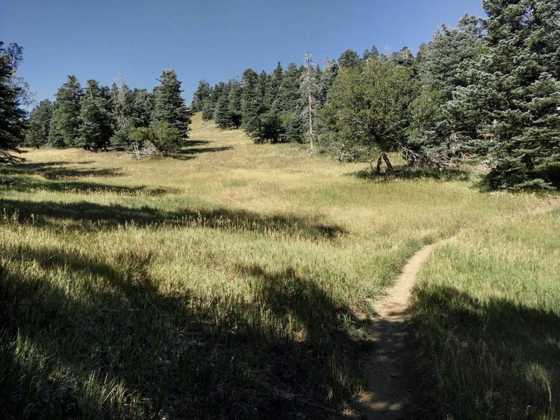 A full value couple of hours of cool, grueling uphill, away from that valley heat. Dozens of these open flats provide a few moments of recovery between many more steep and loose hairpins.