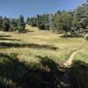 A full value couple of hours of cool, grueling uphill, away from that valley heat. Dozens of these open flats provide a few moments of recovery between many more steep and loose hairpins.