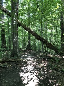 Taking in the scenery.