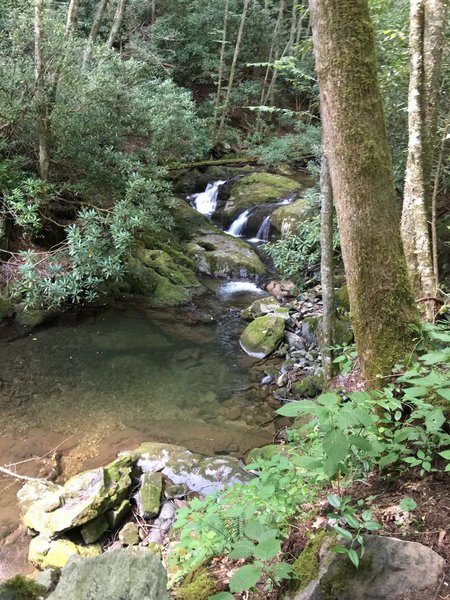 One of the many Rocky Fork cascades just off the Rocky Fork Trail.