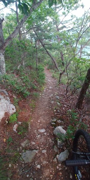 Toward the end of Torry Ridge Trail.