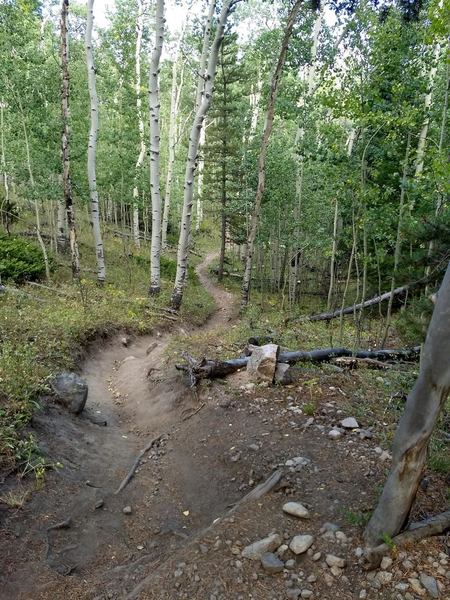 Fast flowy descent down South St. Vrain