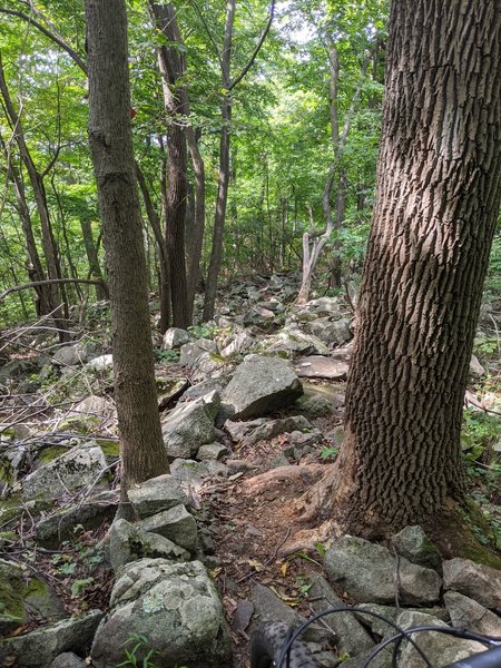 Red Trail - winding through big rocks