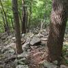 Red Trail - winding through big rocks