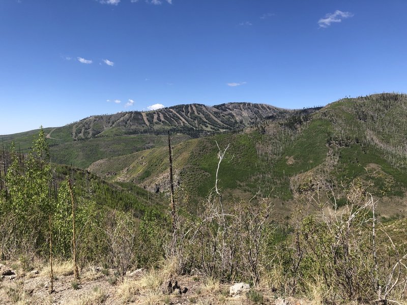 Looking across to Pajarito Mountain Ski Area.