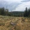 Singletrack on the Shoe and Stocking Trail