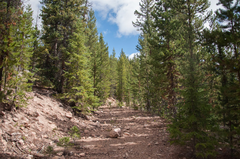 Trail #264 to Rock Creek Singletrack.