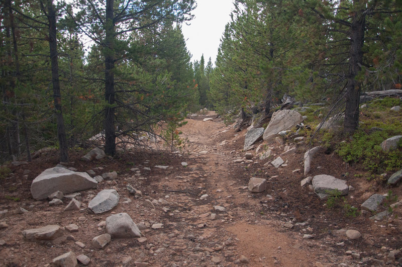 Climbing up Trail #264.