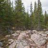 Next to the "High Camp" on trail #264, elevation 10,230 feet.