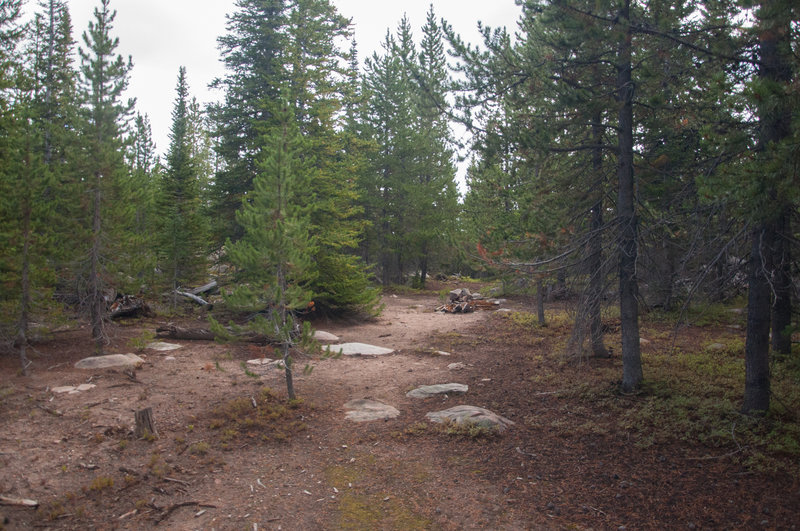 High Camp, elevation 10,230 feet on Trail #264.