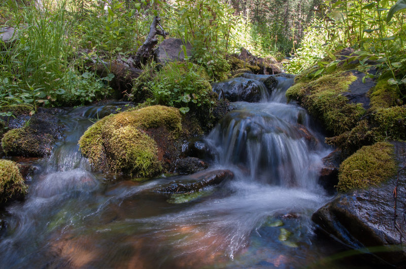 Crystal clear creek next to the Low Camp on FSR264, elevation 9,570 feet.