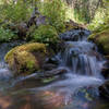 Crystal clear creek next to the Low Camp on FSR264, elevation 9,570 feet.