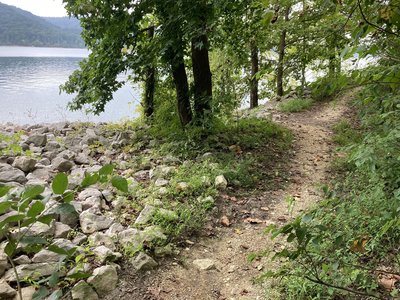 Awesome views traveling along Cave Run Lake!