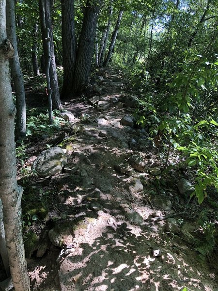 Snow Craft rock garden.