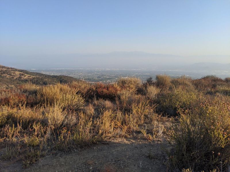 Looking north toward Corona