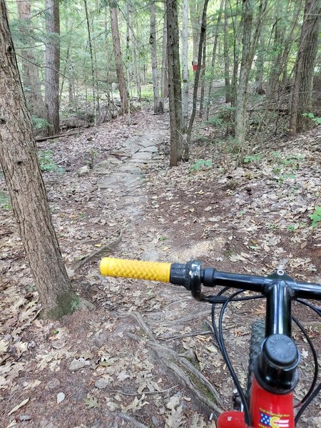 Typical trek through New Hampshire woods.