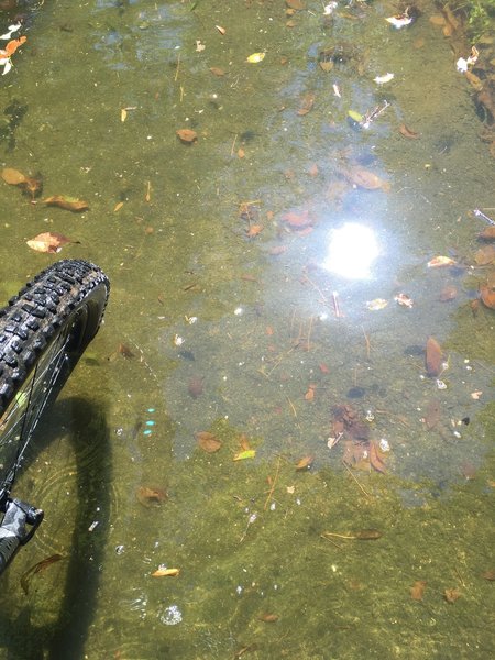 Summer Flooding at Trailhead