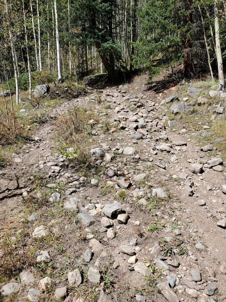 Rock garden section