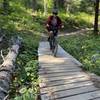 One of many cool bridge features on the trail system.