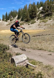 Little log jump on the Color Flow trail