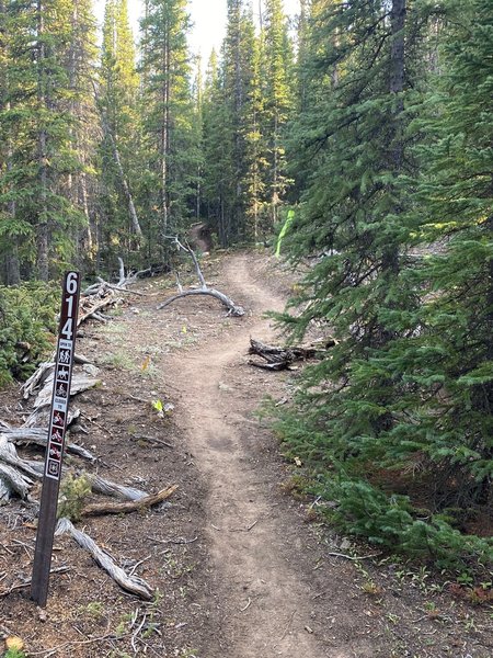 Beginning of the trail as seen from Gold Dust Trail