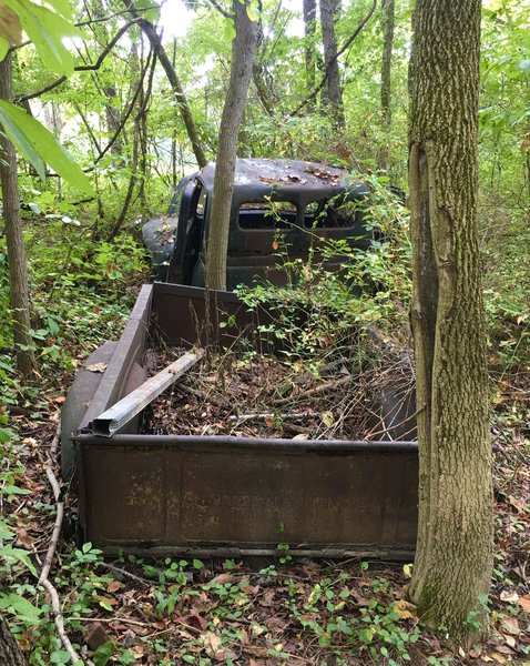 Ruin of 1950s International L-111 pickup