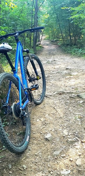 Lakeside Loop Rocky Gap