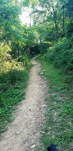 Lakeside Loop Rocky Gap