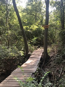 Tranquility Bridge, taken from a rest stop with a bench.