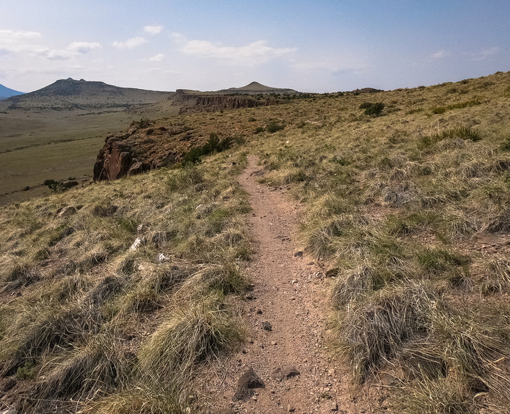 View SE trail section