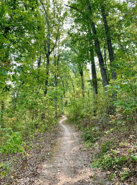 Blowing Springs Loop