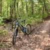 Blowing Springs Loop