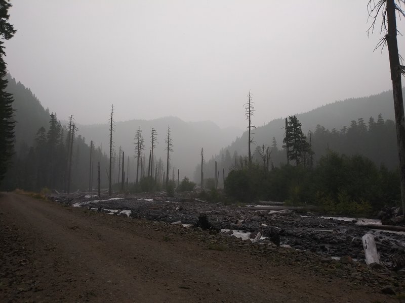 The Westside Road looking North towards Tahoma Creek and Mt. Rainier beyond.