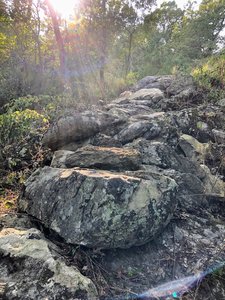 After hitting the jumps, watch out for this mega gnar Rock Garden!!!