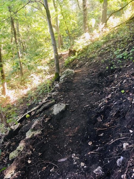 Classic Singletrack!!