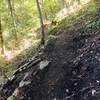 Classic Singletrack!!