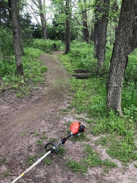 Flowing Singletrack