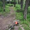 Flowing Singletrack