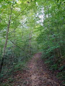 General condition of trail