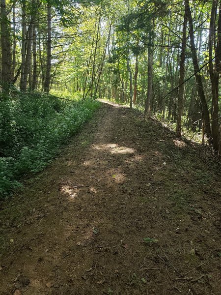 smooth singletrack