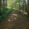 smooth singletrack